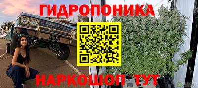 хмурый Нальчик