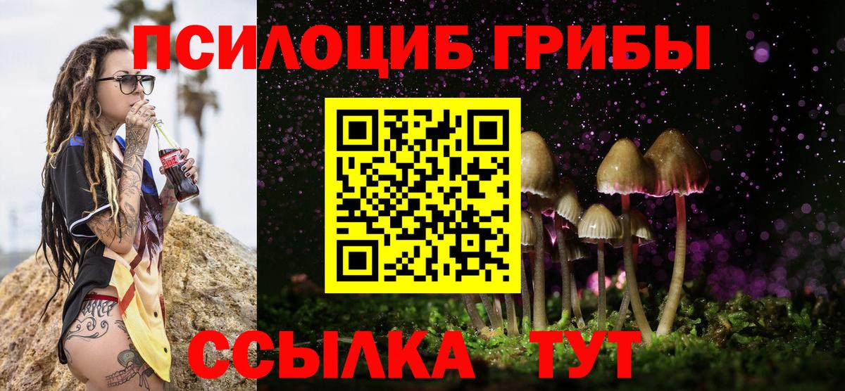 Галлюциногенные грибы GOLDEN TEACHER  Галлюциногенные грибы прущие грибы  Усть-Джегута  Вход с VPN 