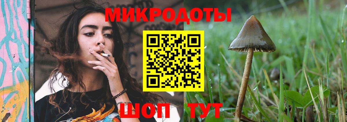 Псилоцибиновые грибы GOLDEN TEACHER Усть-Джегута
